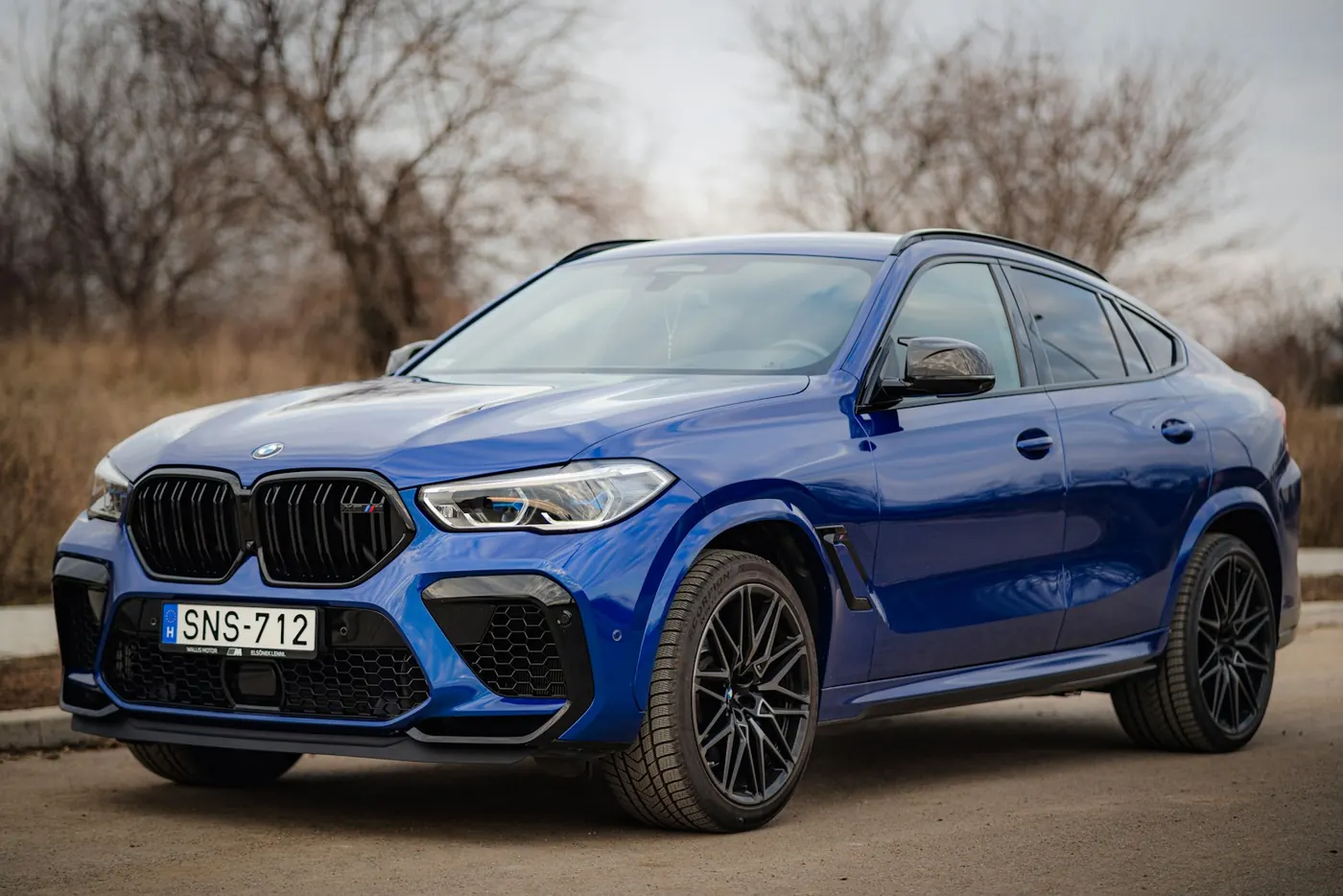 BMW X6 M50i